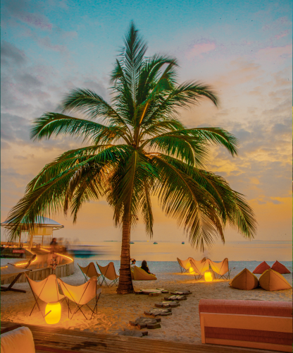 Majestic Kerala Group Departure